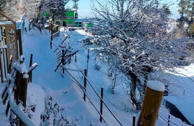 Snow Adventure Resort