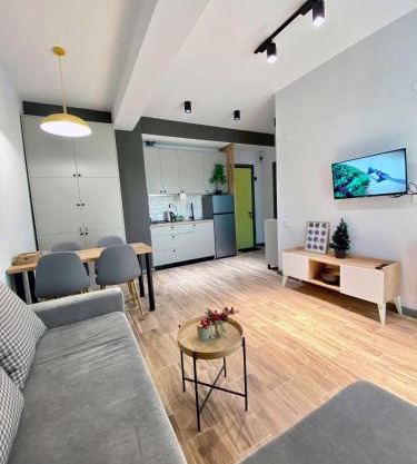 Snow Forest Bakuriani Apartment 10