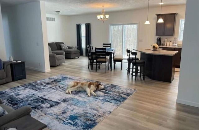 Snowmobile from your door-WIRELESS WIFI- SMART TV TO STREAM- RELAX-DOG FRIENDLY