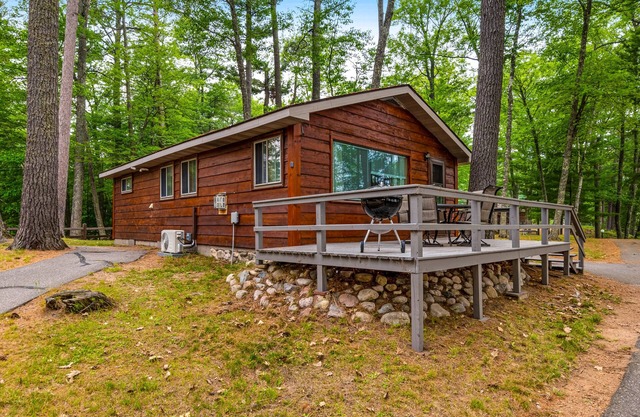 Snowy lake-view cabin with fireplace, full kitchen, TV, dock, & DVD player