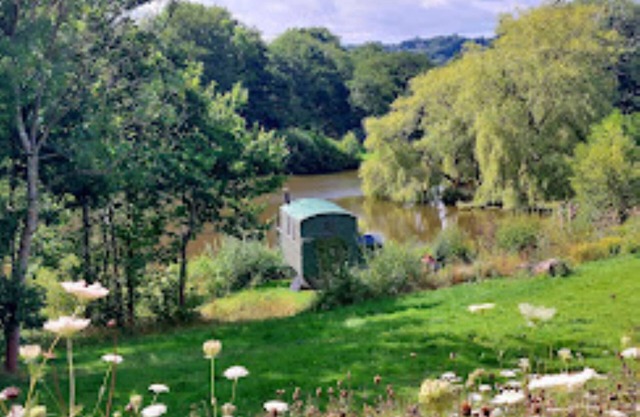 Snug secluded lakeside shepherds hut for fishing, or just relaxing.