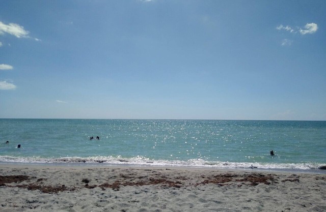 So Close to Florida's Famous Gulf Beaches
