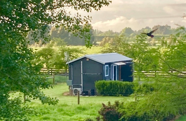 Soak up the Peach & Quiet at an animal Friendly Boutique Farm Cottage