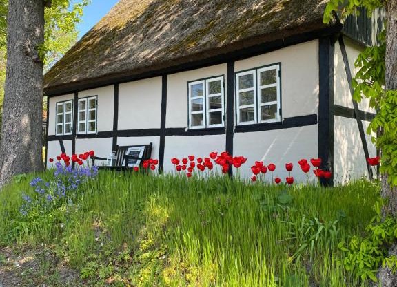 Sofie's Hus - Munkgaard
