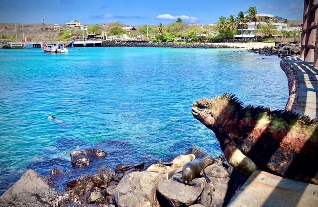 Casa de huéspedes Sol y Mar