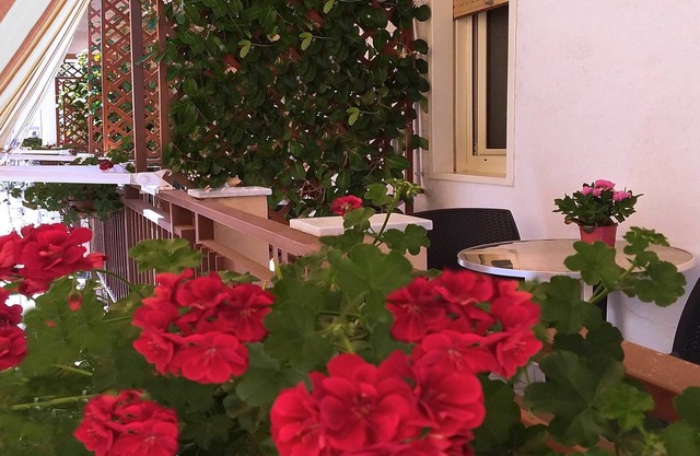 Solaris B&B
