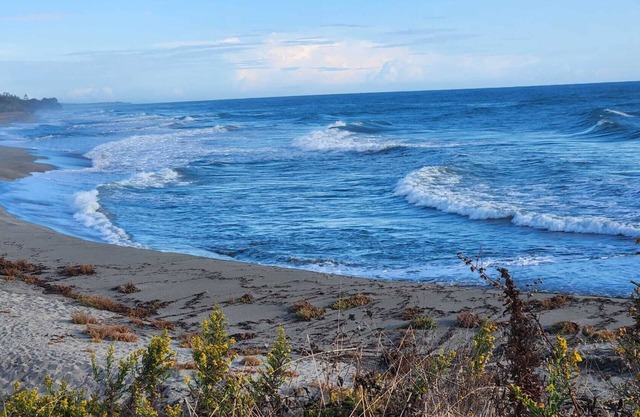 Somptueux Appart Neuf 3 Pièces en rdc Tout Confort Avec Accès Plage et Piscine