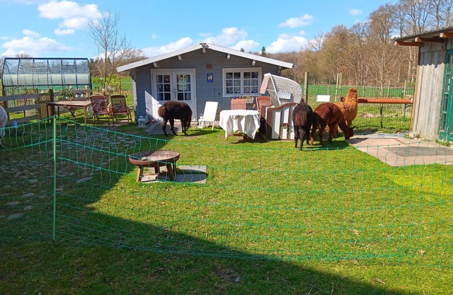 Sonnenscheinhof Alpakas, Alpaka Hütte