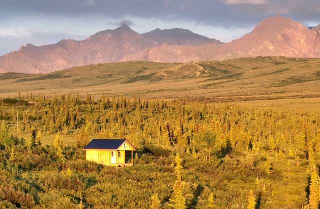 Into the Wild Cabin, Stampede Rd, Close to Denali