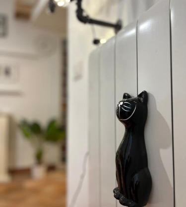 Sotto il Tetto con i Gatti