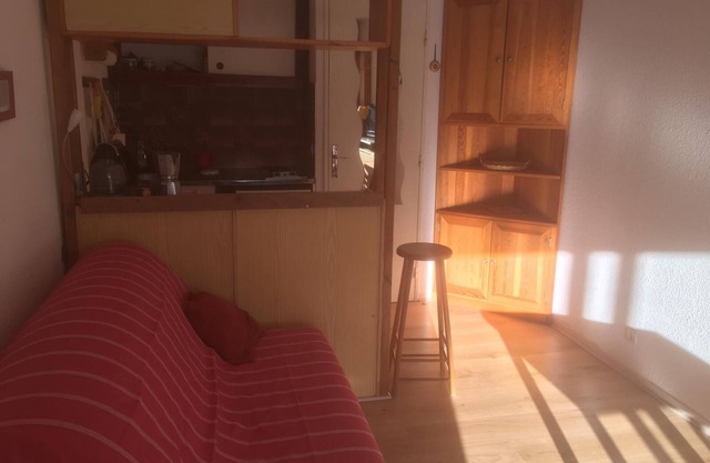 south-facing ground floor apartment overlooking meadow, direct access to ski slopes and shops