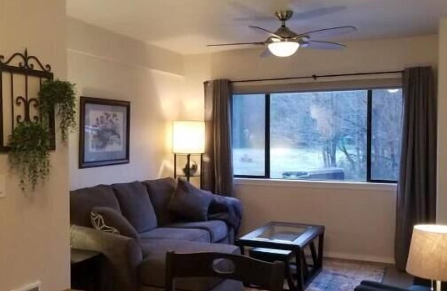 South Fork River Retreat - Close to Downtown