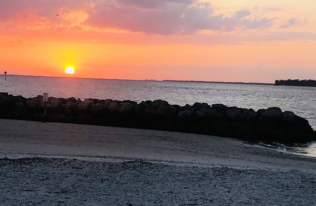 South of Tampa - Gulf Coast’s Slice of Paradise