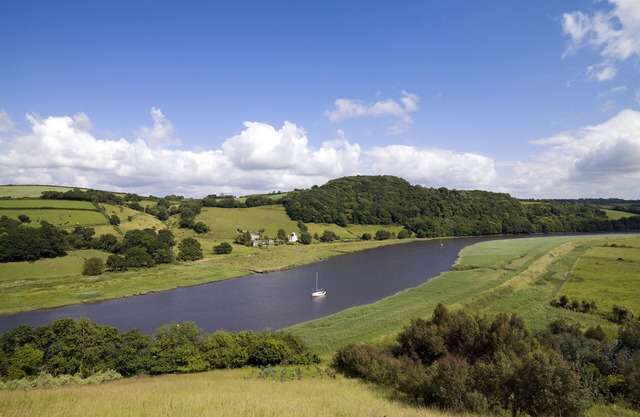 South-western edge of Dartmoor National Park, On Tamar Coast to Coast Way