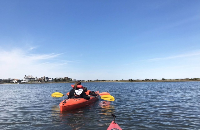 SouthHamp WaterView Piscina Kayaks Bicicletas PerrosOK! Ping-pong, BayBeach