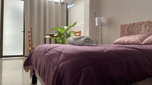 SP Rooms Centro Histórico 1 recámara matrimonial con baño privado
