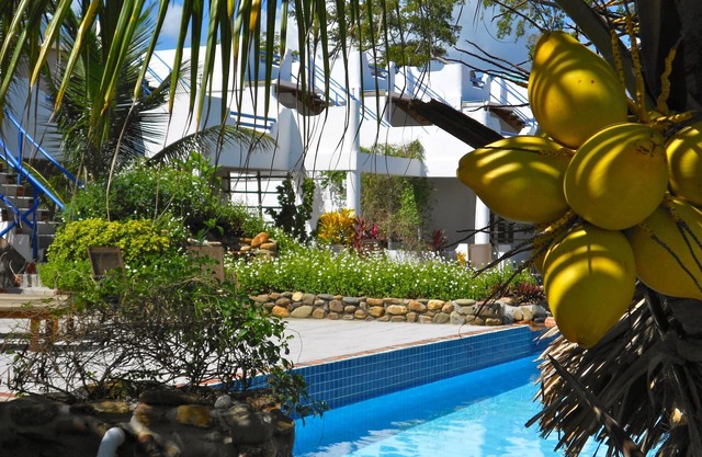 Nivel espaciosa planta ranchero, con fácil acceso a la piscina y al océano