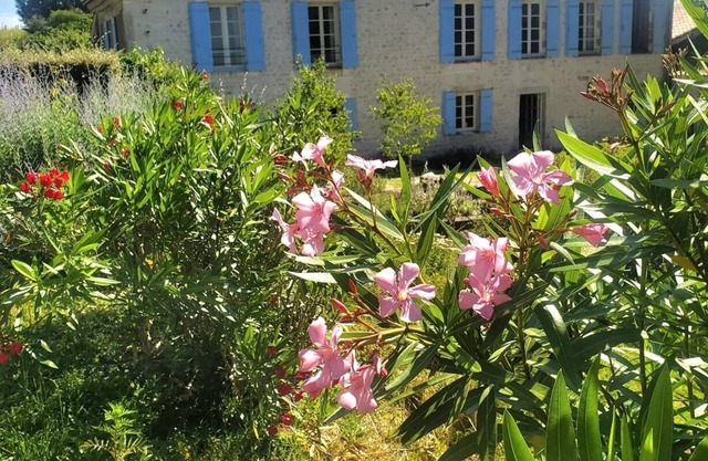 Spacious, recently converted Charentais farmhouse in small commune