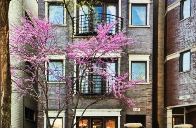 Espacioso Dúplex de 3/2 en el Área de Wicker Park