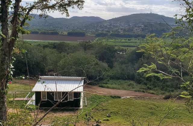Spacious 4-bedroom farmhouse in charming Yauco with AC