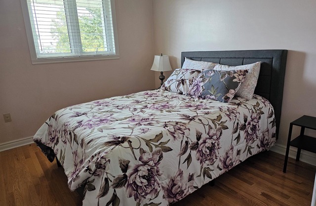 Spacious 4-bedroom house in charming Dartmouth with hottub, deck, Wifi and AC.