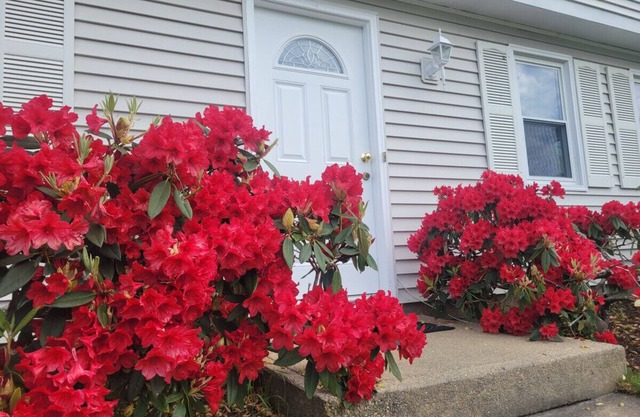 Spacious 5BR Beach House Vacation-walk to Scarborough!