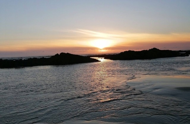 Amplio y luminoso apartamento moderno junto a la playa y el bosque de pinos en Amorosa