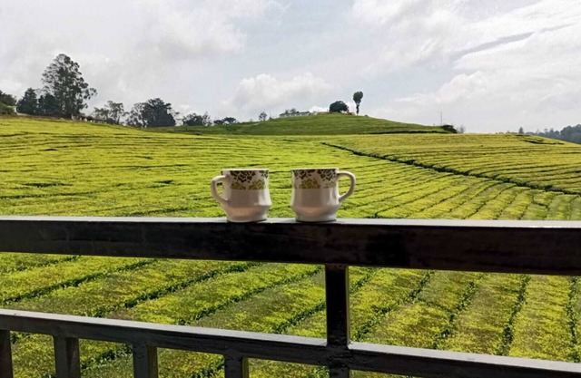 Spacious and serene space with Tea Estate view from every room.