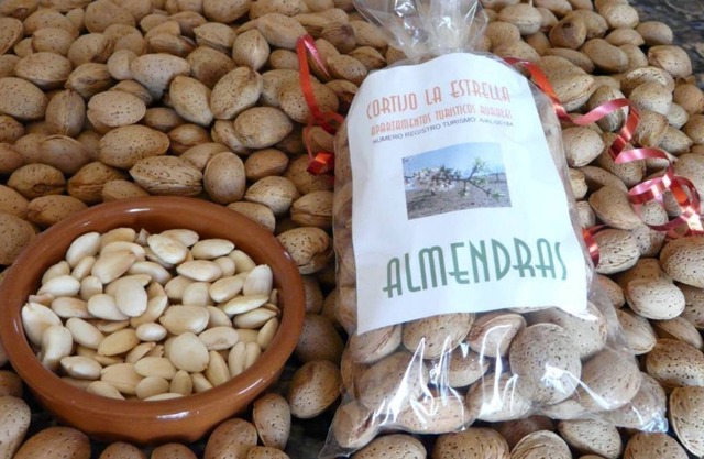 Amplia apartamento donde puede disfrutar unos dias en plena naturaleza