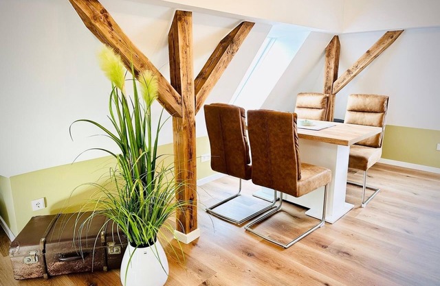 Spacious "Silberberg" attic studio in the heart of Schneeberg