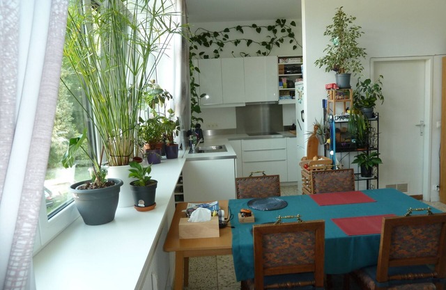 Spacious, bright and comfortable apartment - located in the forest in the valley