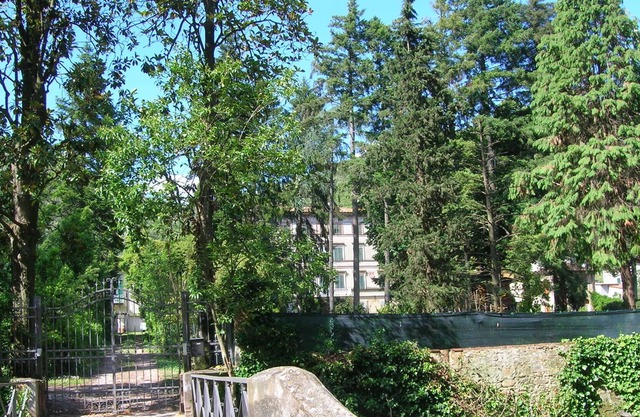 Entre los pinos y olivares: amplio apartamento en Lucca Country Villa
