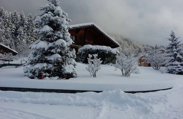 Spacious chalet in the heart of the Beaufortain mountains