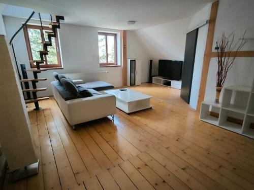 Spacious duplex apartment with fireplace by the Nisa River