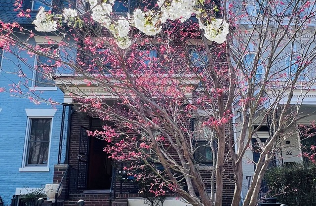 Spacious four-bed, three-and a half- bath townhome in Washington DC.