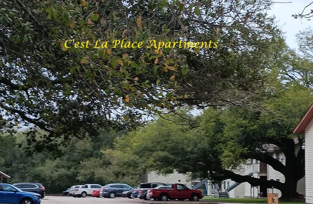 Spacious Furnished 2 Bedrooms, 1 Bathroom Apartment! Your Home Away from Home
