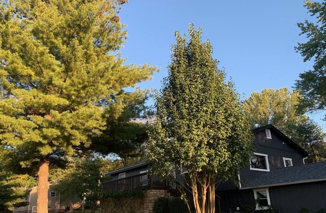 Spacious Home near Golf Courses, Ballparks National, and Lake of the Ozarks!