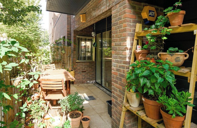Spacious home with a touch of wilderness at the heart of East London.