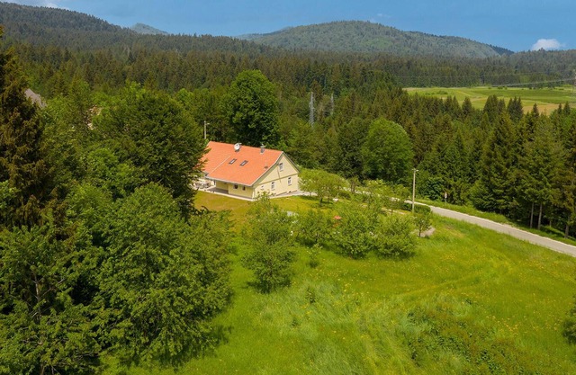 Spacious house in the green heart of Croatia.