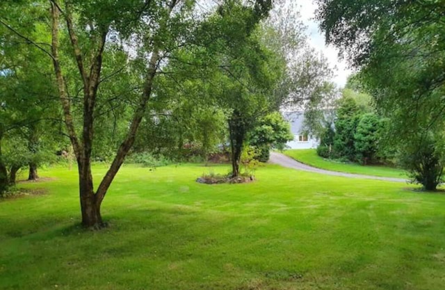 Spacious idyllic wooded Ring of Kerry 4 bedroom retreat - Epic Views and Gardens