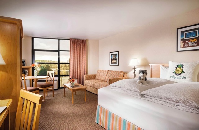 Spacious Junior Suite w/ Pool in Vibrant University District | Free Parking