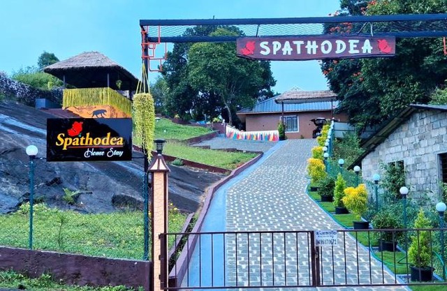 SPATHODEA