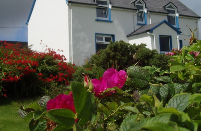Casa de campo tradicional con maravillosas vistas de Brandon Bay, península de Dingle