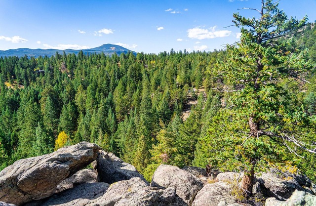Espectacular paraíso de montaña de 40 acres cerca de Boulder