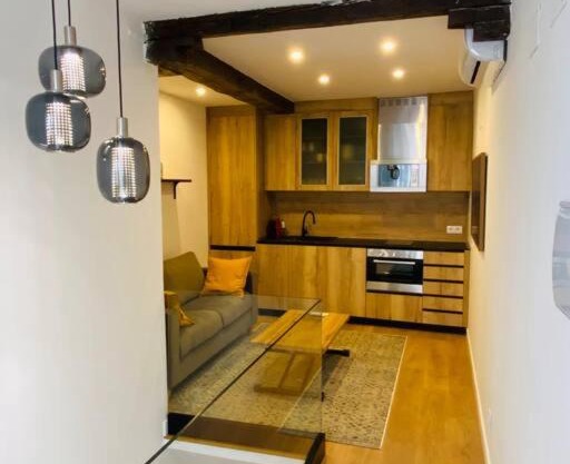 Spectacular apartment Atocha-SOLER