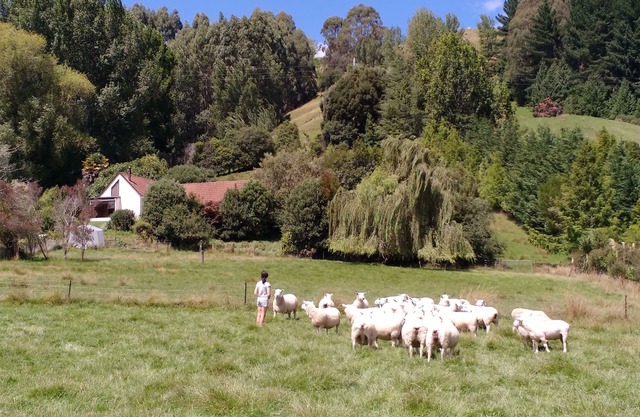Espectacular Hope Farm Stay
