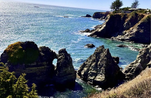 Spectacular Oceanfront, massive fenced yard, with Spa Mendocino Coast in Gualala