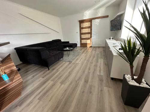 Speedy house