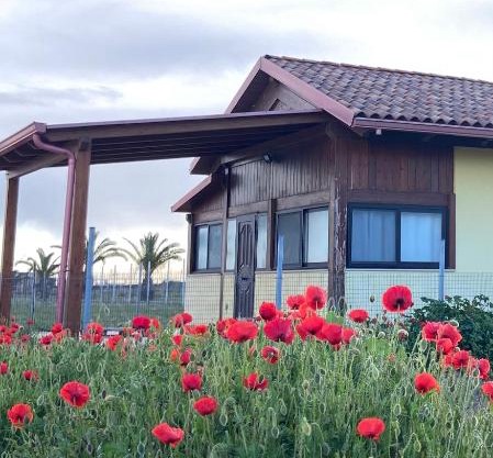 Spiaggia Le Dune Residence