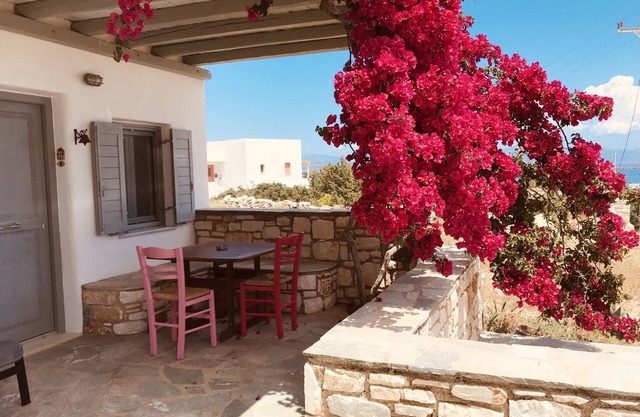 Spiti up in Paros - Dryos